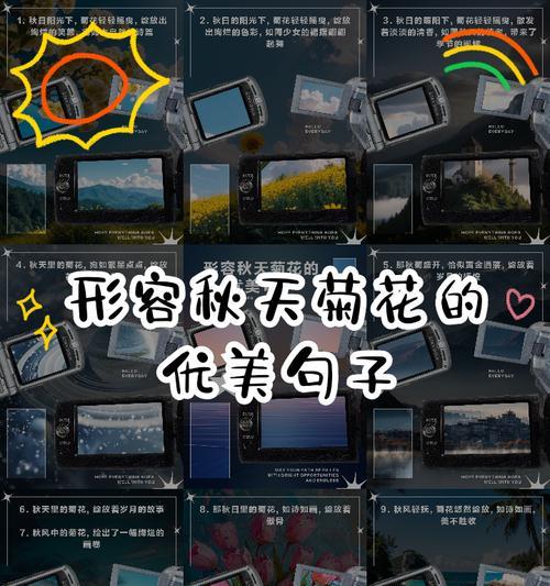 优美菊花句子开头结尾有哪些？