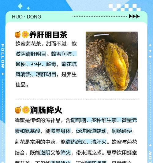 柠檬蜂蜜加菊花可以泡茶喝吗百度百科