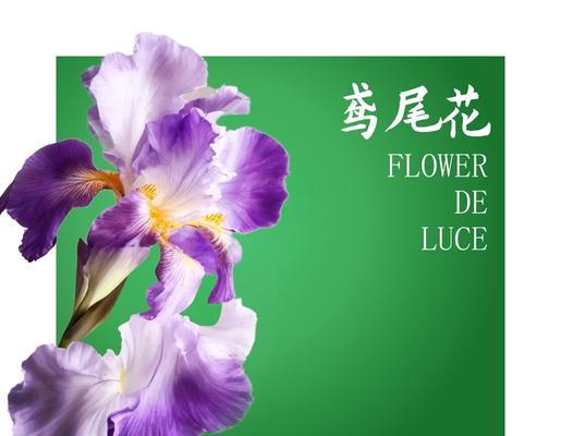鸢尾插花制作方法视频大全窍门