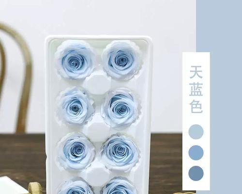 84朵玫瑰花图片大全集高清图