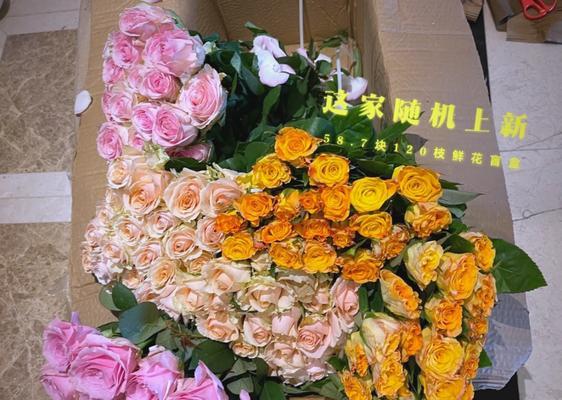 网购玫瑰花怎么养开花