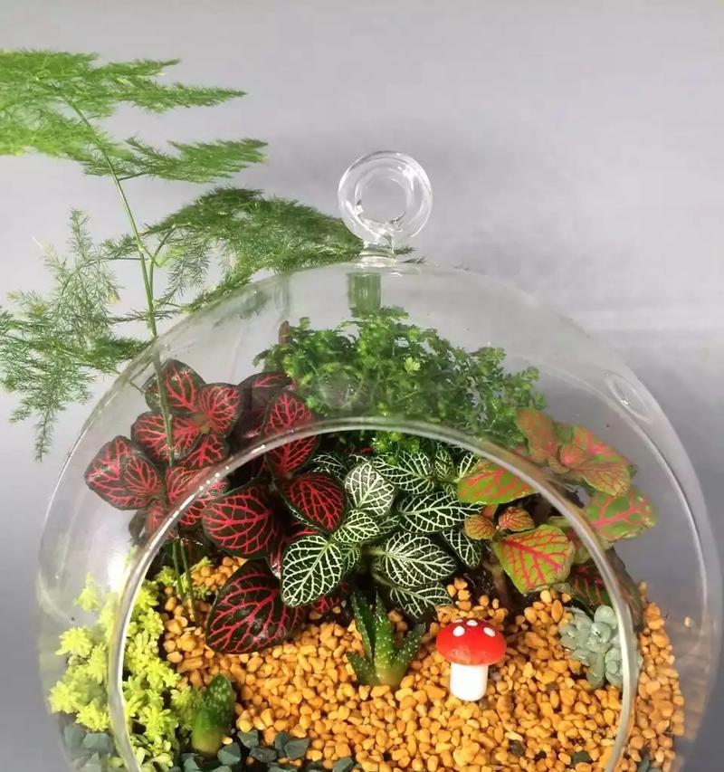 微景中常见的开花植物有哪些？