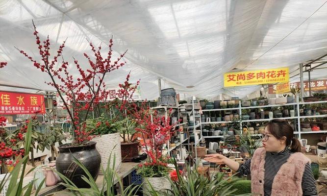园艺花卉营业执照的范围包括哪些？