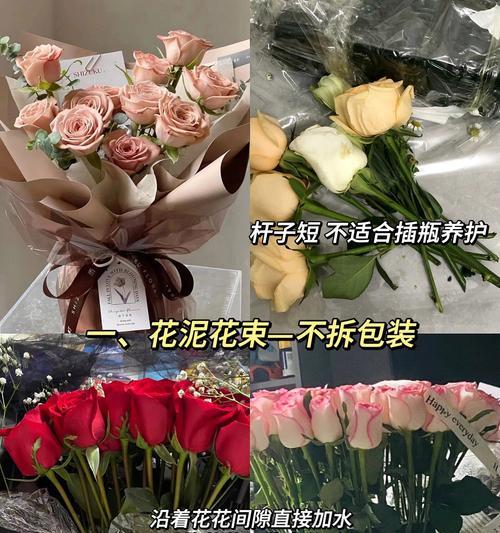 植物鹤顶红花期多久开花？如何延长花期？