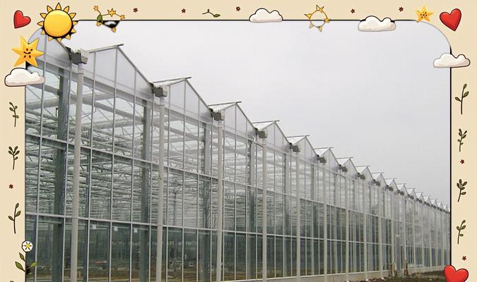温棚植物的种植方法是什么？种植温棚植物需要注意什么？