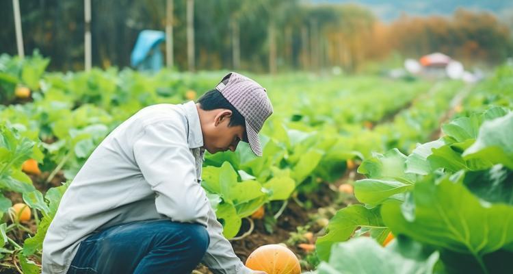 如何简短地写植物采集感悟？植物采集有哪些要点？