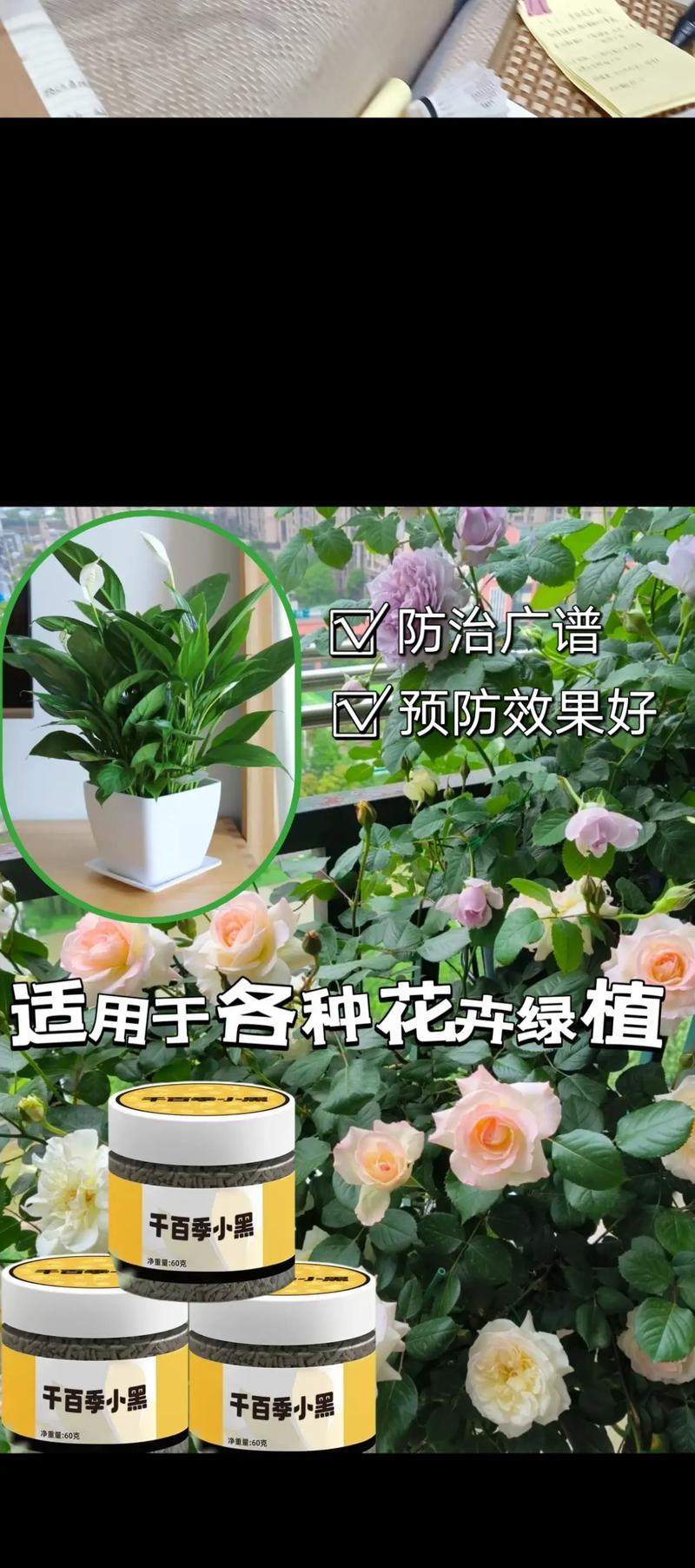 花卉烂根时应使用哪些专用苗？