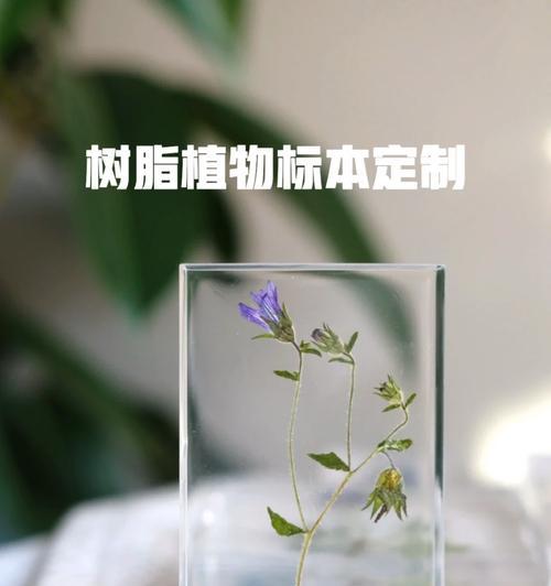 植物滴胶是属于什么类别？它在植物养护中的作用是什么？