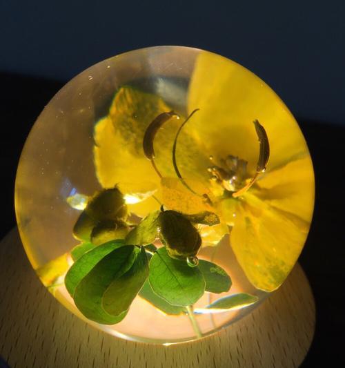 植物滴胶是属于什么类别？它在植物养护中的作用是什么？
