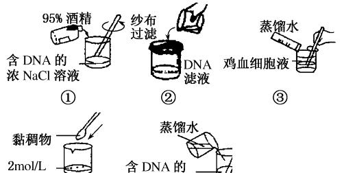 男士植物提取水的正确使用方法是什么？有何效果？