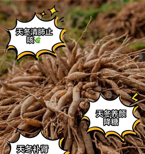 天门冬氨酸对植物多久见效？使用天门冬氨酸的正确方法是什么？