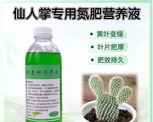 仙人指花卉的正确施肥方法是什么？