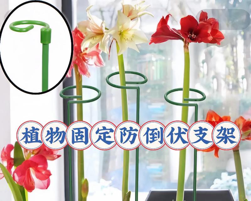 花卉支撑杆上的白色虫子是什么？如何处理？