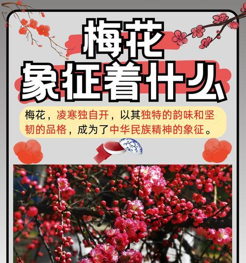 童话故事中有哪些神秘植物？它们的象征意义是什么？