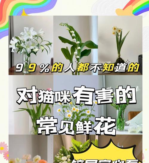 哪些花卉是有毒的？如何安全种植和管理？