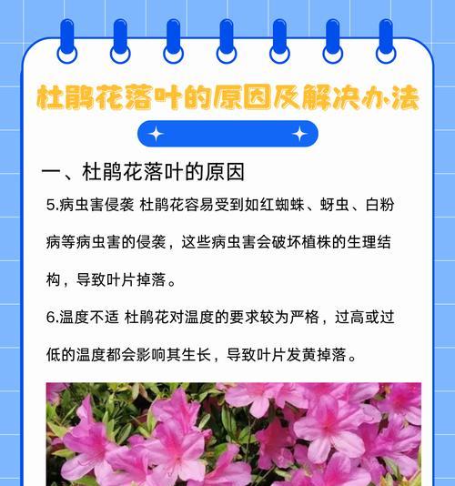 哪些花卉是有毒的？如何安全种植和管理？