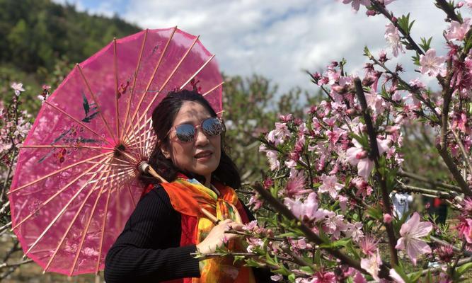 前岐镇有哪些花卉市场？花卉市场的特色和推荐是什么？