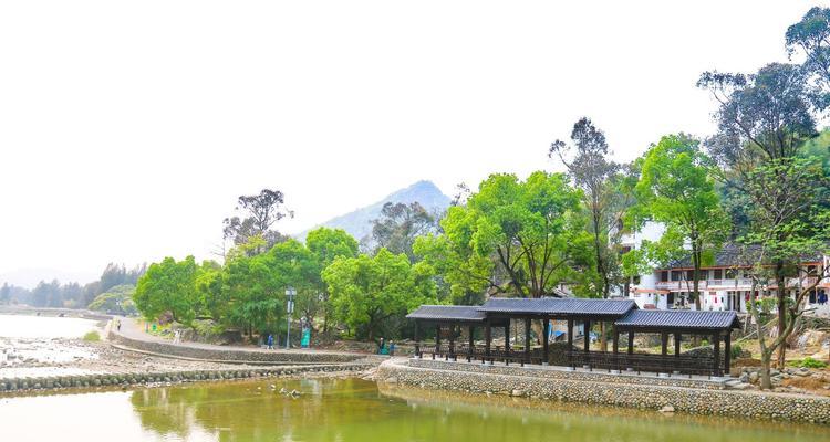 前岐镇有哪些花卉市场？花卉市场的特色和推荐是什么？