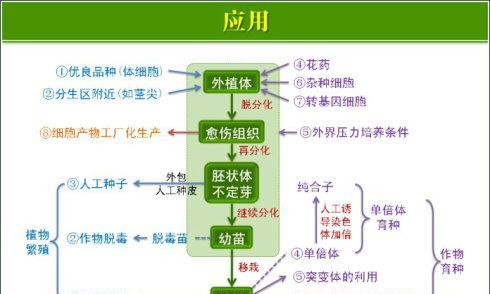 植物获取的途径有哪些？如何选择合适的植物？