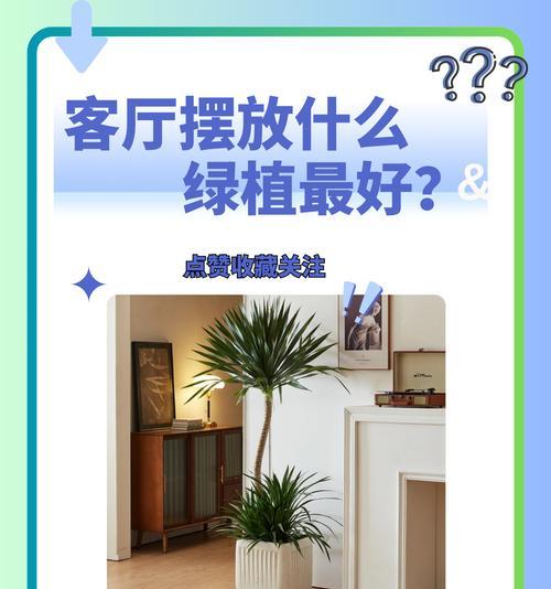 什么植物既好养又适合室内摆放？如何选择适合的室内植物？