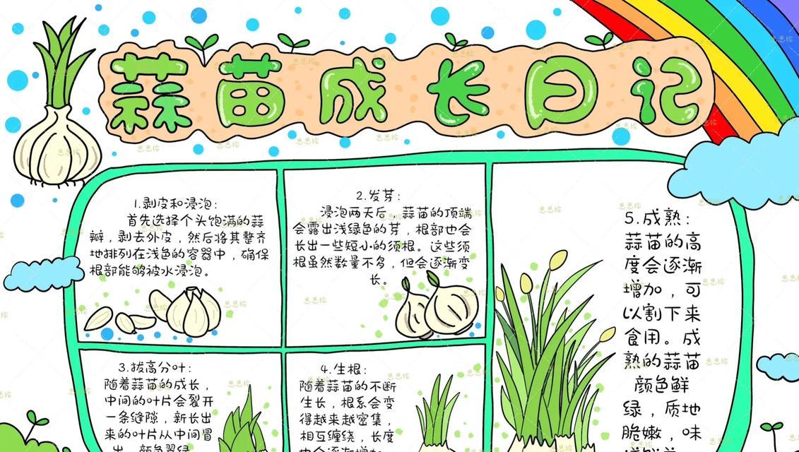 盆栽蒜苗的养殖技巧有哪些？如何保持其健康生长？