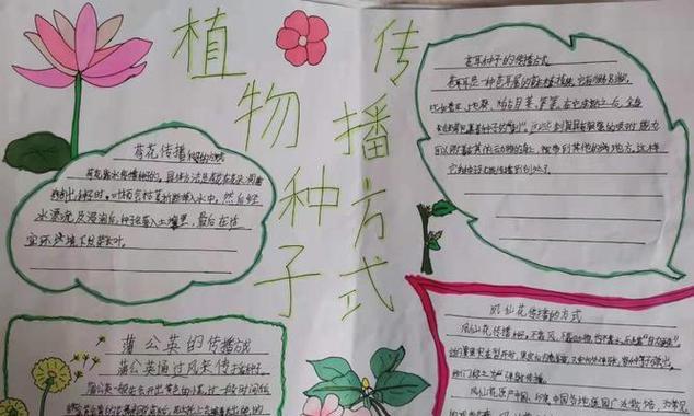所有植物都有哪些共同特点？它们的生长规律是什么？