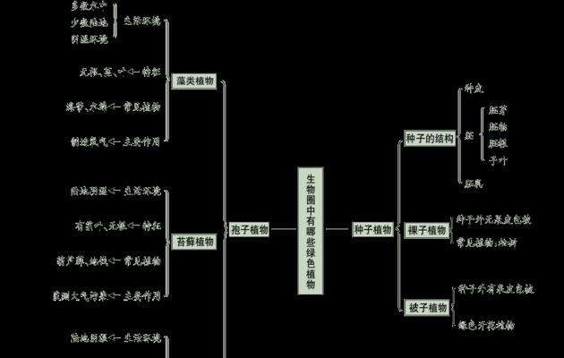 所有植物都有哪些共同特点？它们的生长规律是什么？