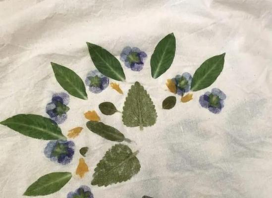 植物染色效果不满意如何修改？有哪些技巧可以尝试？