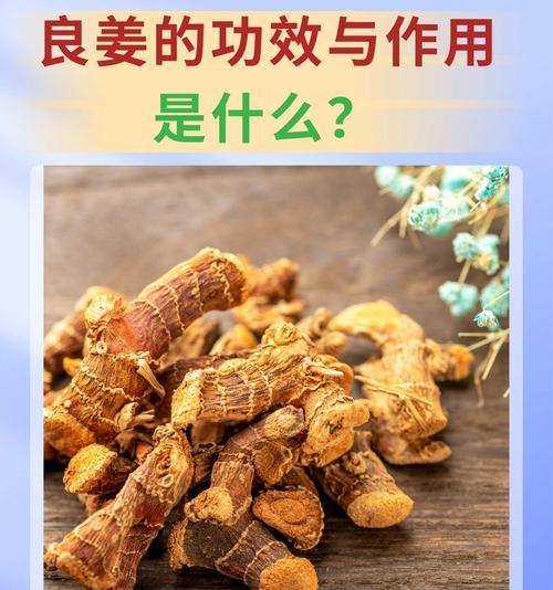 植物茎的作用是什么？它在植物生长中扮演什么角色？