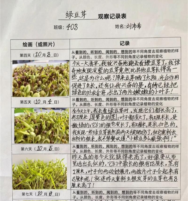 绿豆生长植物笔记怎么写？记录绿豆生长过程的要点是什么？