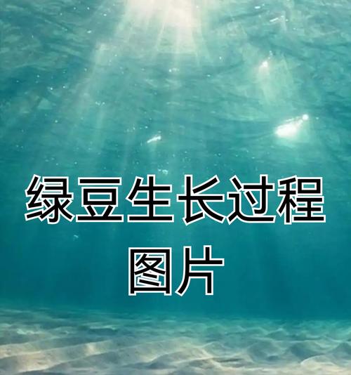 绿豆生长植物笔记怎么写？记录绿豆生长过程的要点是什么？