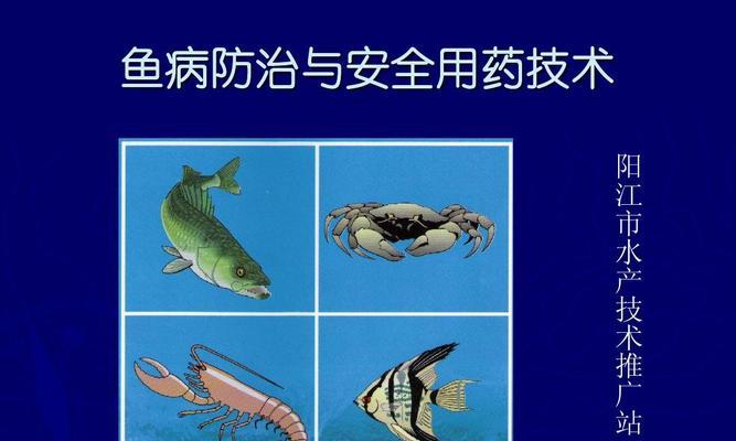大海飞燕的养殖要点有哪些？如何避免常见病害？
