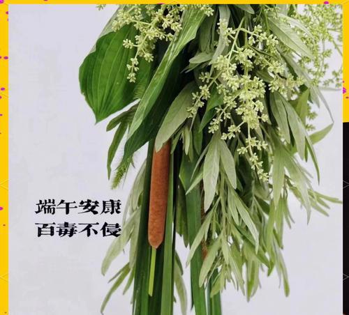 端午用什么植物洗澡？端午洗澡植物的寓意是什么？