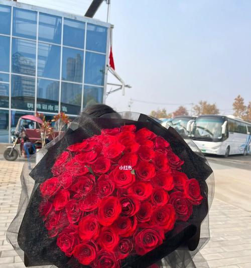 52朵玫瑰代表的特殊意义是什么？