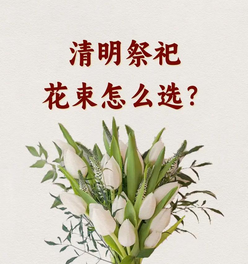 女生拜神时送哪种盆栽最合适？