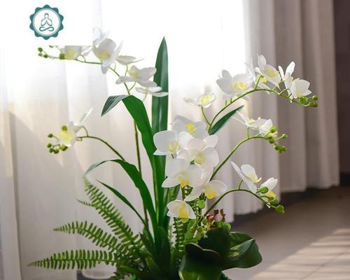 盆栽花艺在家居装饰中的作用是什么？