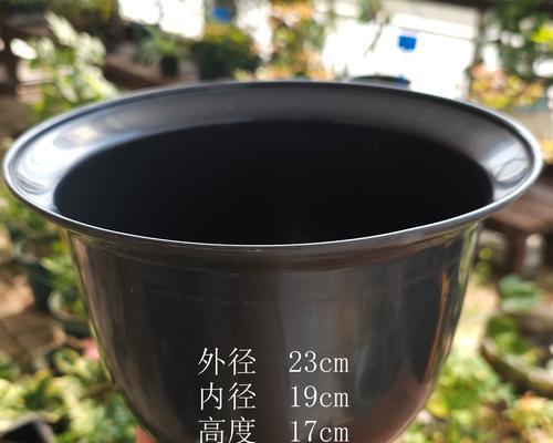 热带花卉容器的含义是什么？