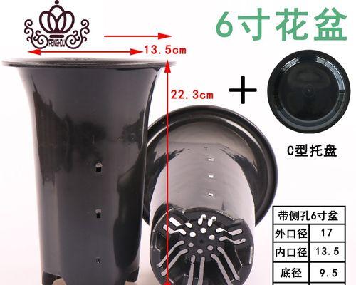 热带花卉容器的含义是什么？