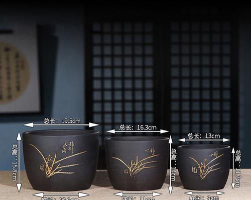 热带花卉容器的含义是什么？