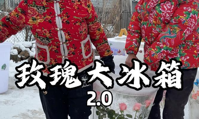 玫瑰花塞满冰箱代表什么？