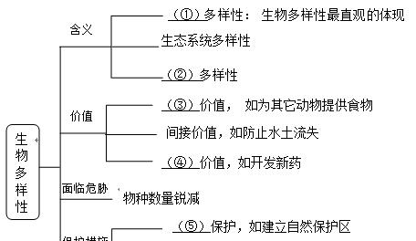 杂交水稻的定义及其重要性是什么？