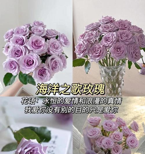 送玫瑰花给男朋友代表什么？它有什么特别含义？