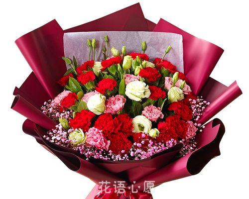 如何撰写送给自己的康乃馨花语？花语中蕴含哪些情感？