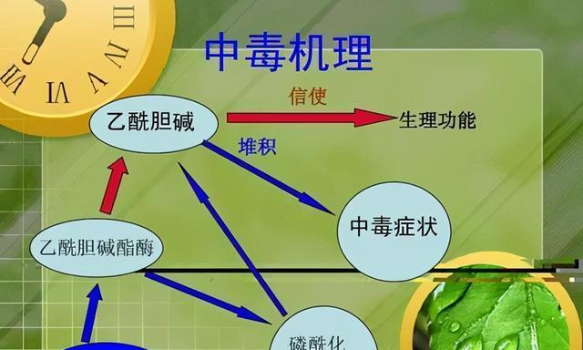 范围性的农药是什么？如何正确使用？