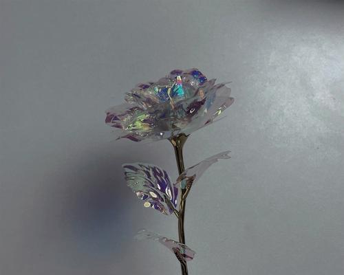 金箔玫瑰花寓意何在？