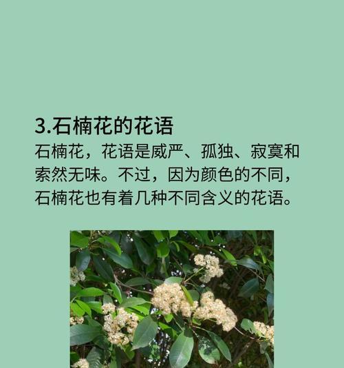 石楠花树的寓意是什么？花语中的象征意义？