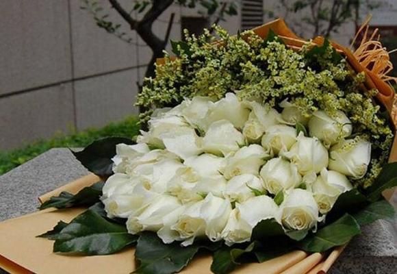 白玫瑰有哪些禁忌的花语含义？