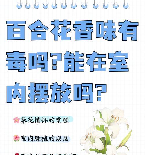 我是百合是什么意思？百合花的象征意义有哪些？