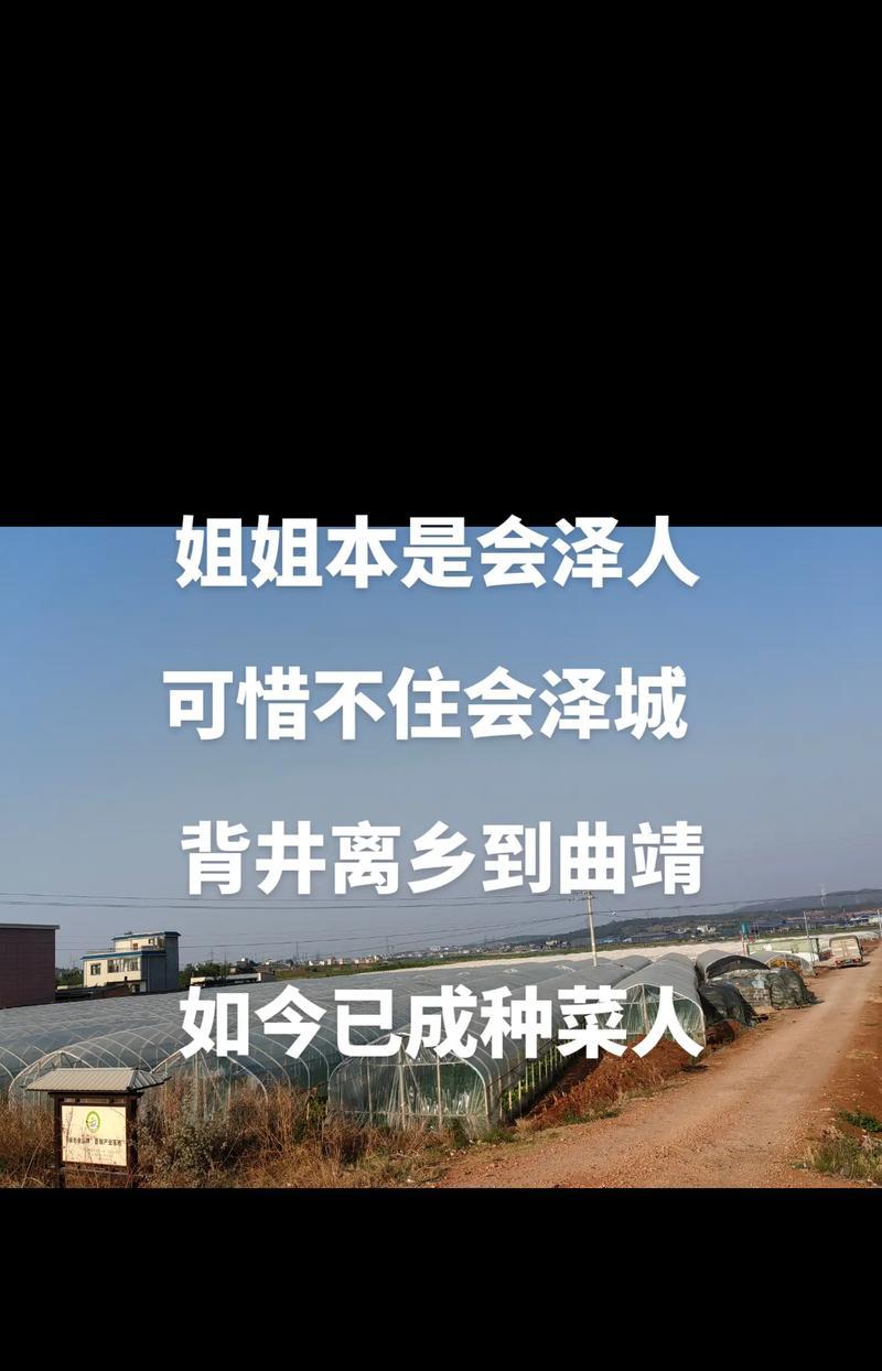 挖玫瑰花种菜有何含义？它象征着什么？