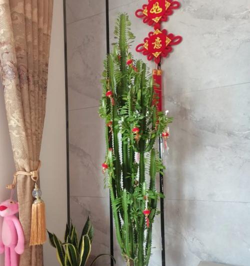 盆栽的优点是什么？盆栽有哪些好处？